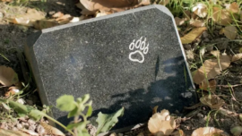 Pet Burials
